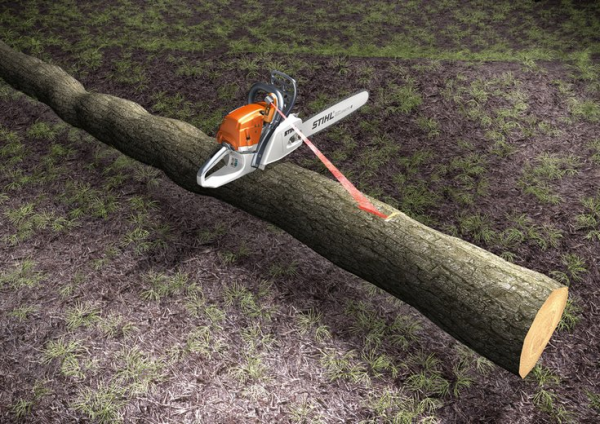 STIHL Laser 2-in-1 Fällrichtungsanzeiger – Bild 4