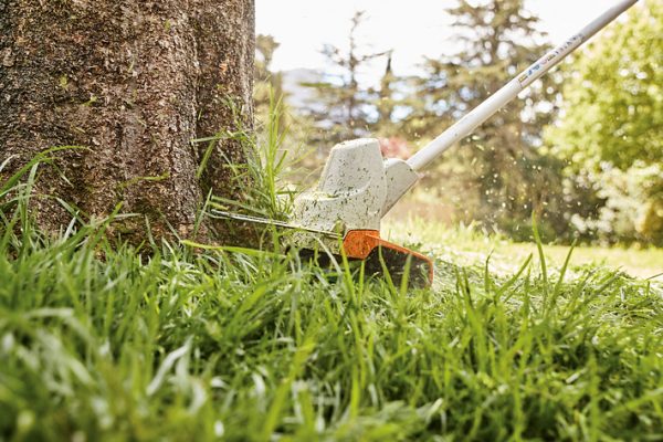 STIHL FSA 57 Akku-Motorsense – Bild 2