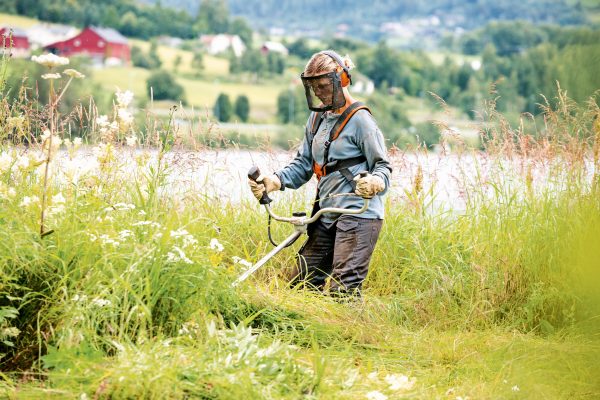 STIHL FS 240 Profi Benzin-Motorsense – Bild 2