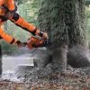 STIHL MS 661 C-M Benzin-Profimotorsäge, 71cm Schwert – Bild 4