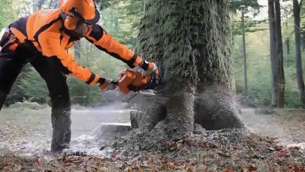 STIHL MS 661 C-M Benzin-Profimotorsäge, 71cm Schwert – Bild 4