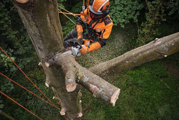 STIHL MSA 220TC-O MA012000050/MA012000051 – Bild 3